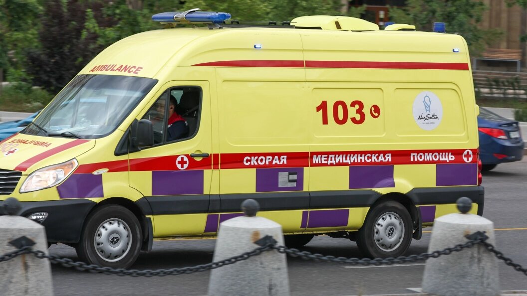    Фото: Petrov Sergey/Globallookpress.