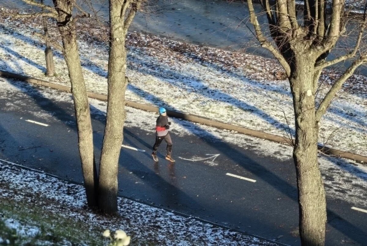    Пушистая и ледяная сказка.