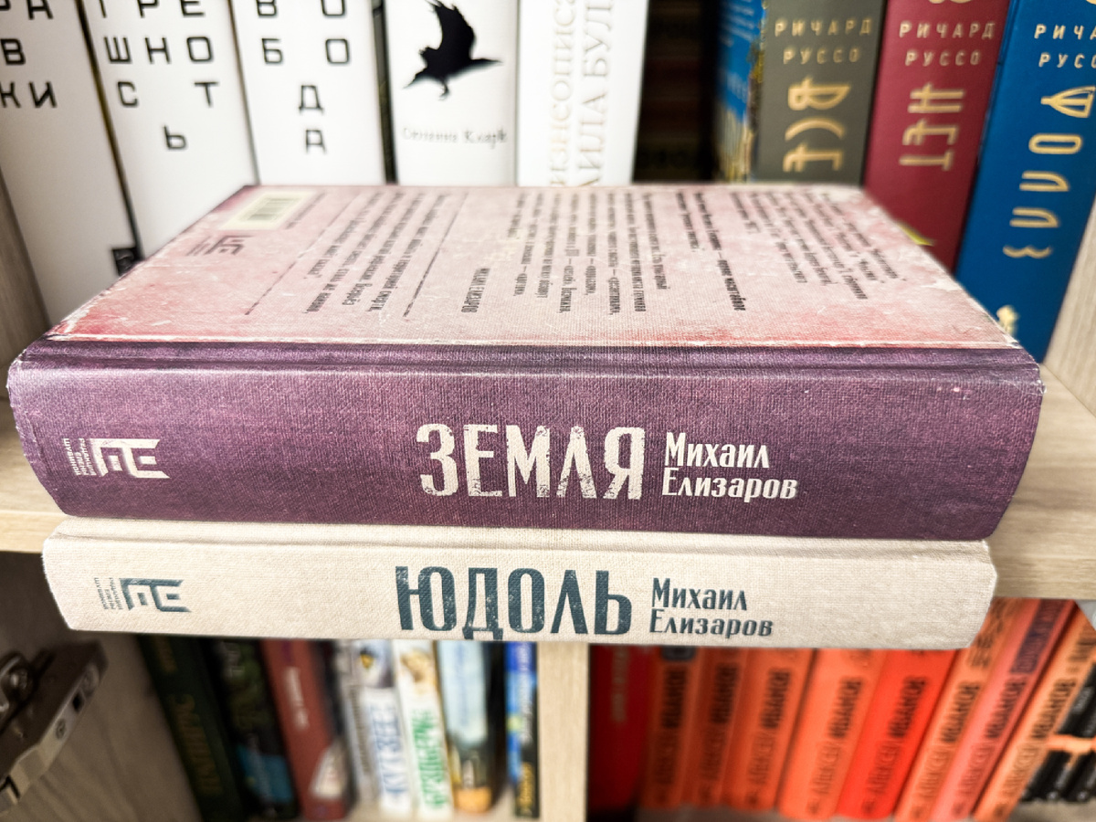 Читательня Михаила Елизарова 