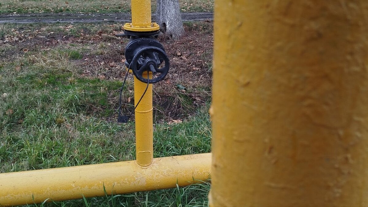    Фото: телеканал «Краснодар»