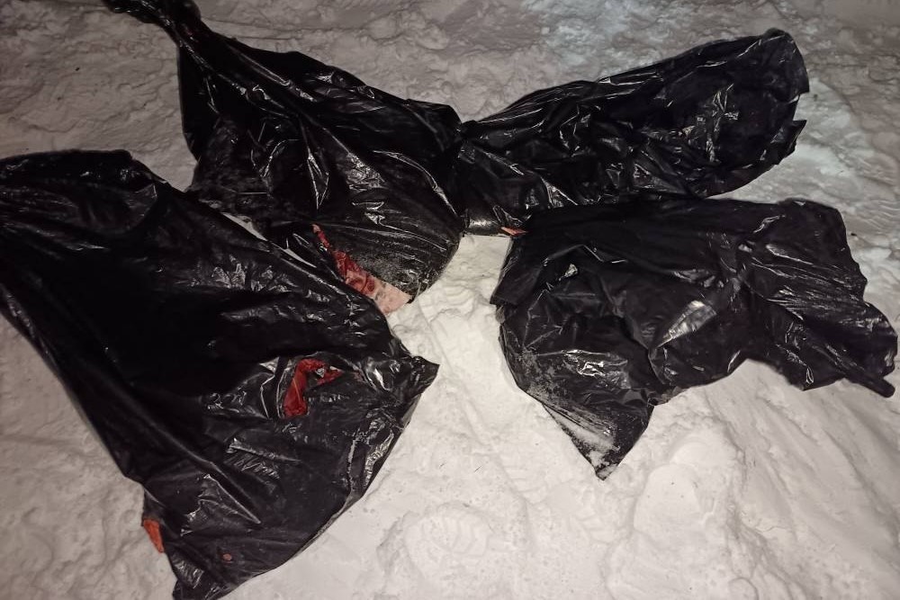    Фото: ГУ МВД России по НСО