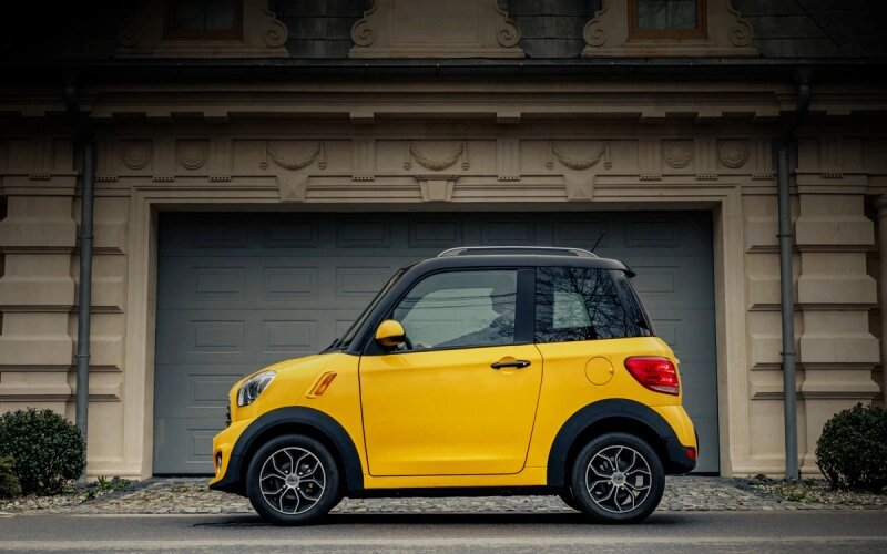 Eoynyx M2. Источник фотографии - Яндекс картинки