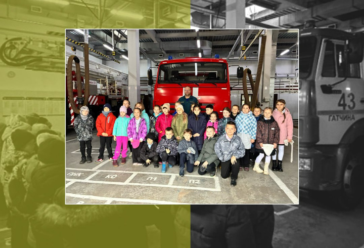 фото: МЧС России по Ленобласти