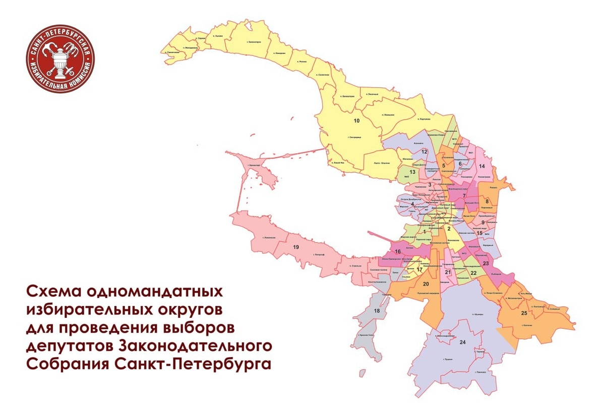 Фото: телеграм-канал председателя Санкт-Петербургской избирательной комиссии Максима Мейксина