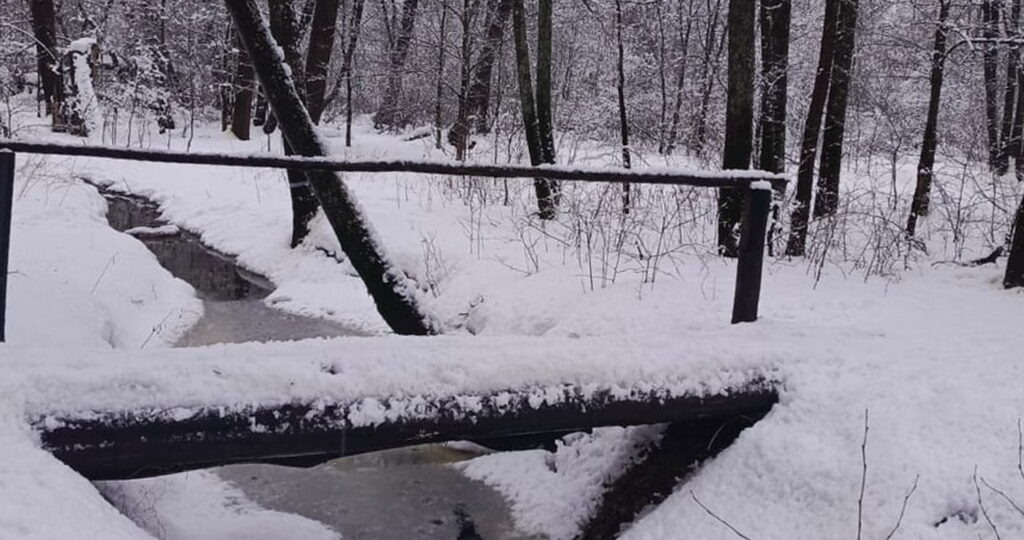 Самая холодная зима за 250 лет: синоптики предупредили об аномальных морозах до –40 и снежных бурях