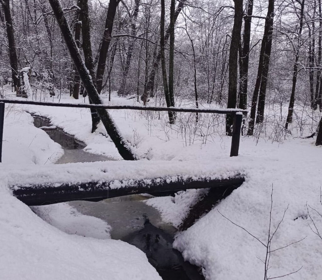    Алена Федорова