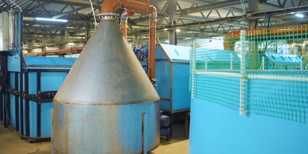 Как правильно продавать рыбу