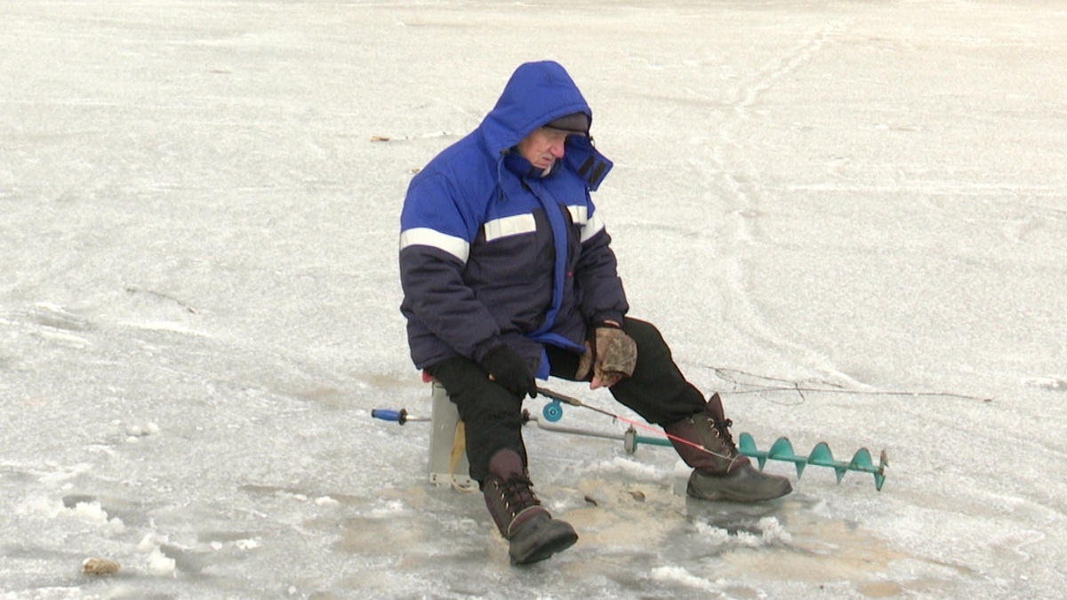 Кадр из программы "Вечерний хэштег"