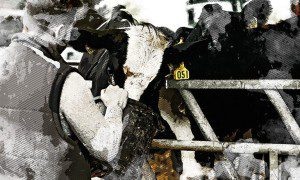 Изображение от freepik  📷
