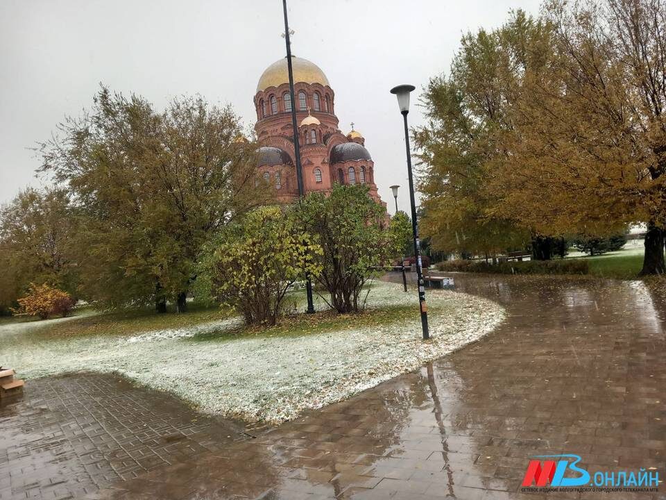    Фото: Никита Потапов / архив