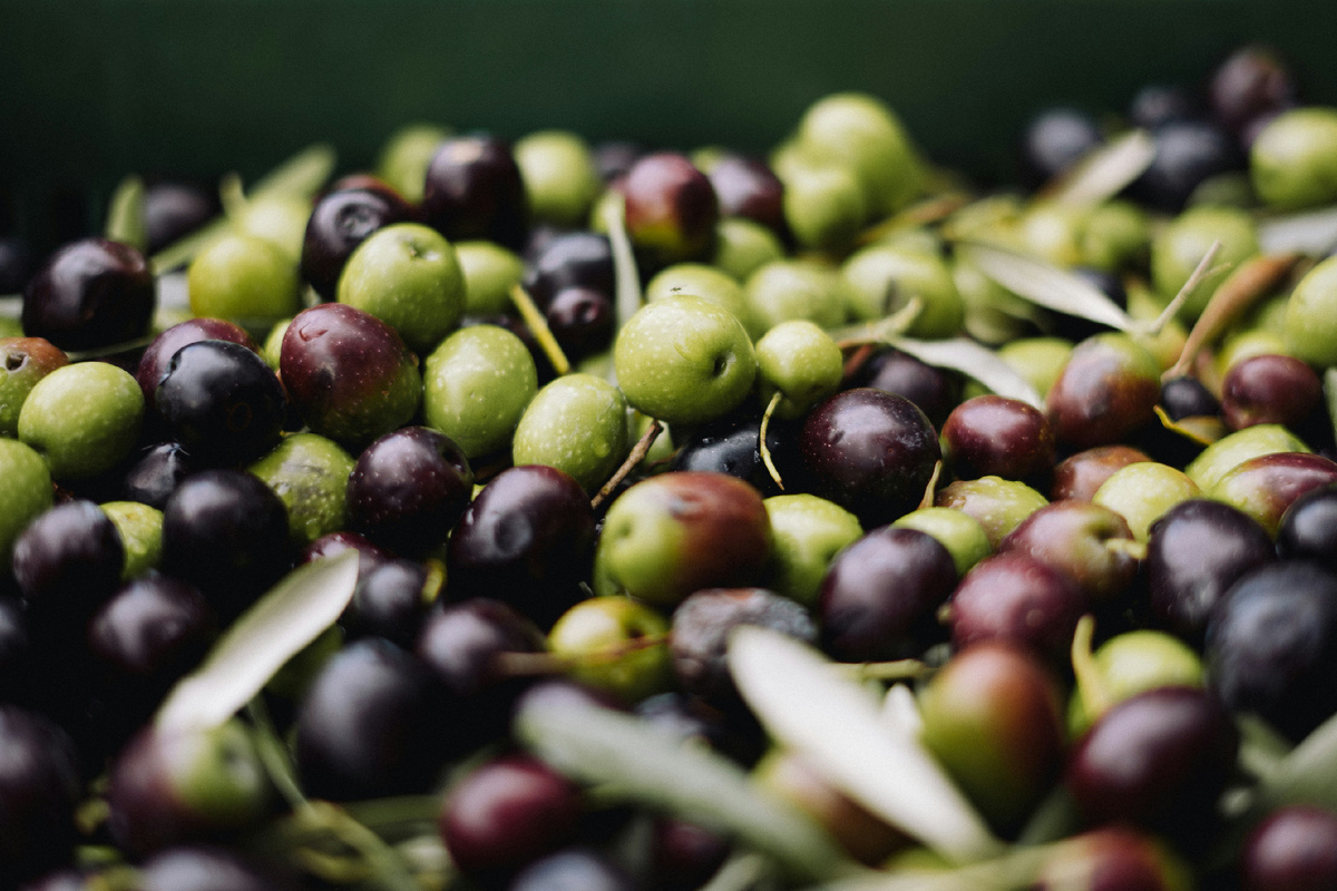 https://unsplash.com/photos/a-pile-of-green-and-black-olives-sitting-on-top-of-each-other-bavD_RW9pTQ