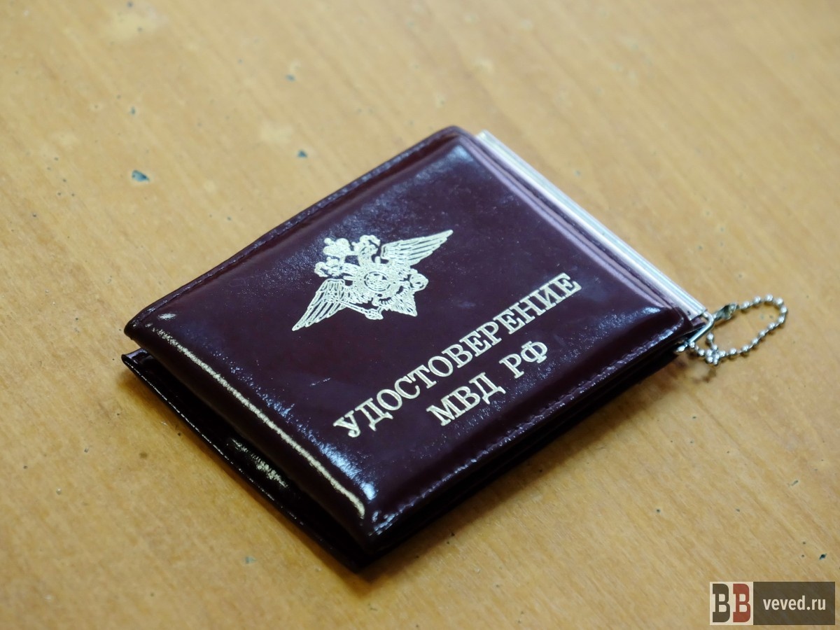     Фото: Владислав Постников / Вечерние ведомости