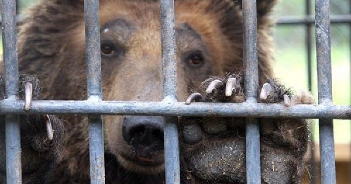 Фотография из Интернета