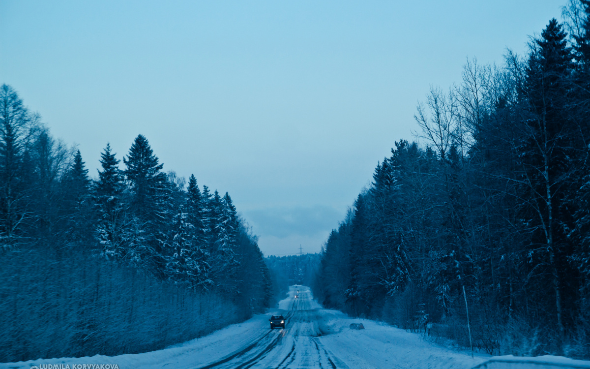    фото: © Столица на Онего