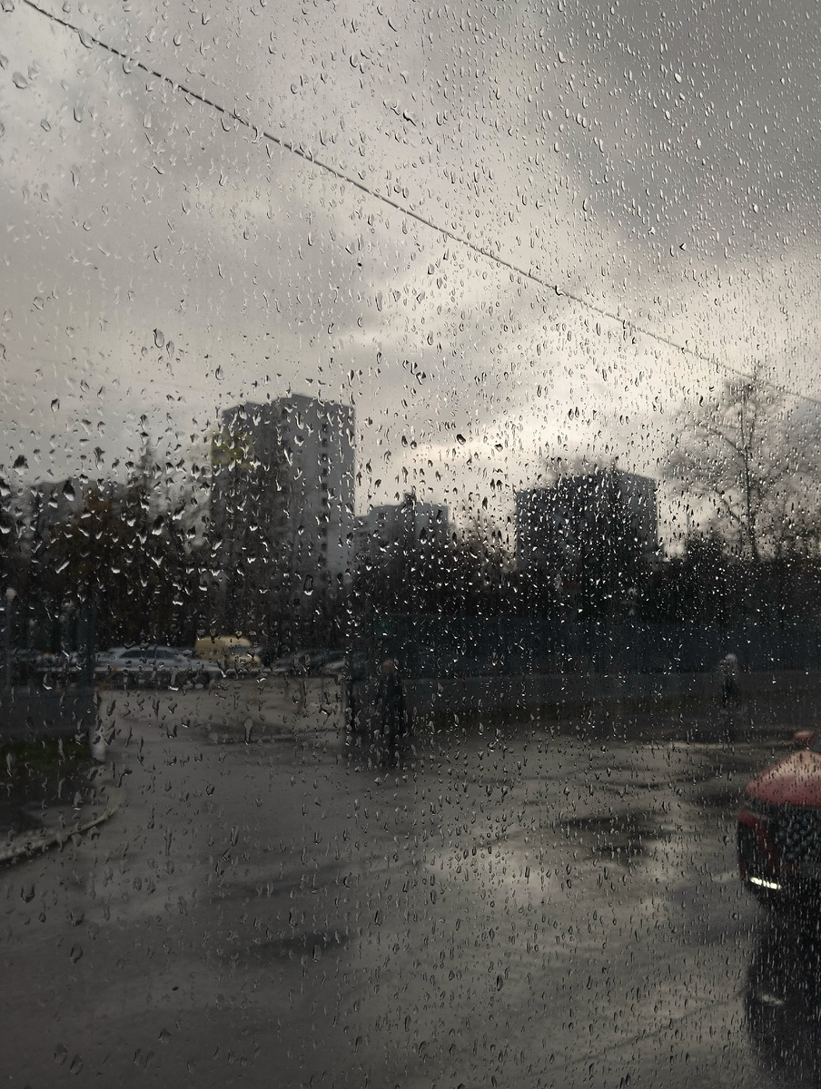 18.11.2025 г, вторник. Московское время 14 час 29 мин. Улица Череповецкая. ЗДЕСЬ и далее фото автора и(или) из личного архива автора, если не указано иначе.