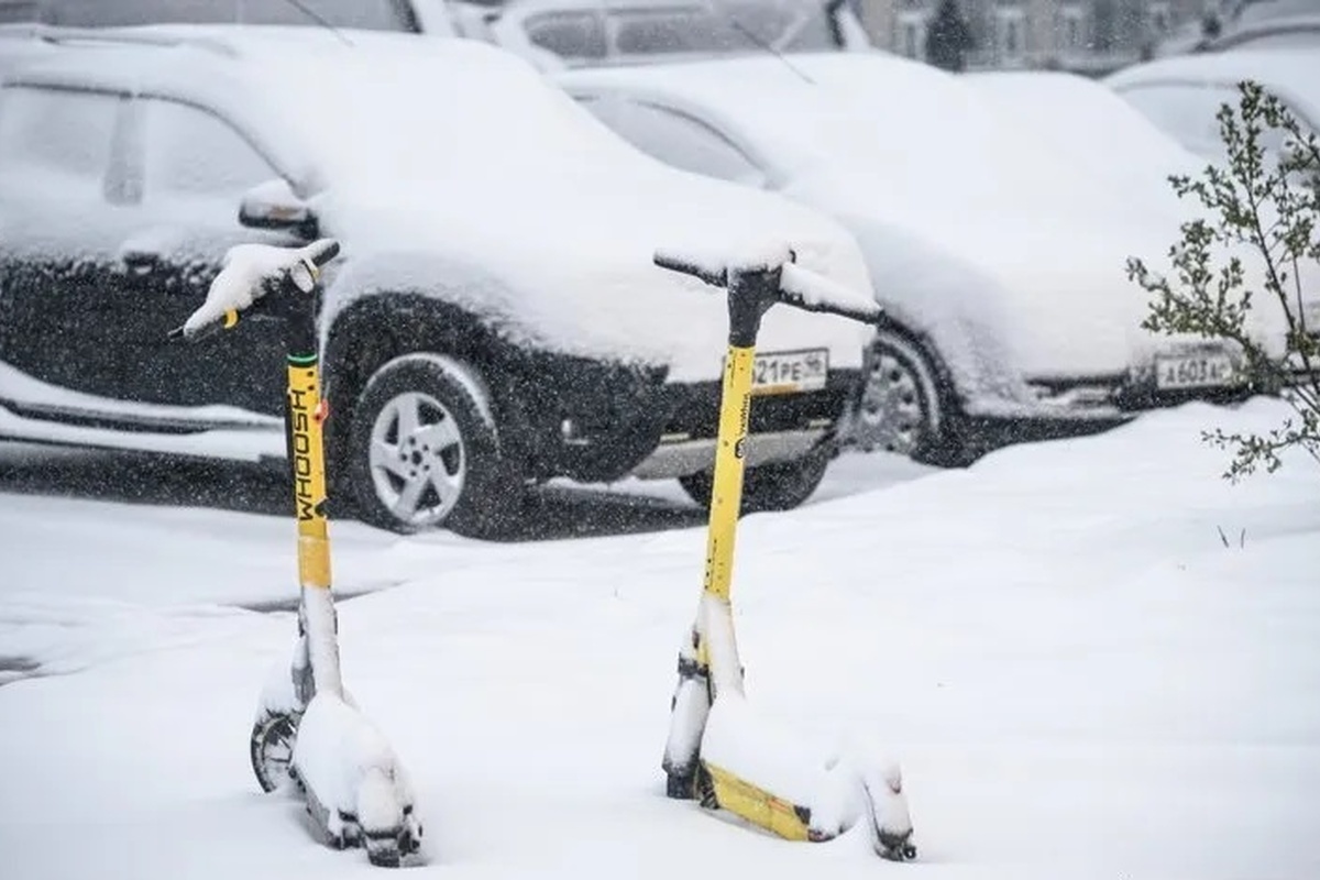    Фото: Илья Московец, источник: URA.RU