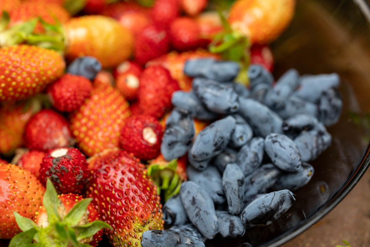 Сезон 2025, Все фото как и всегда - авторские