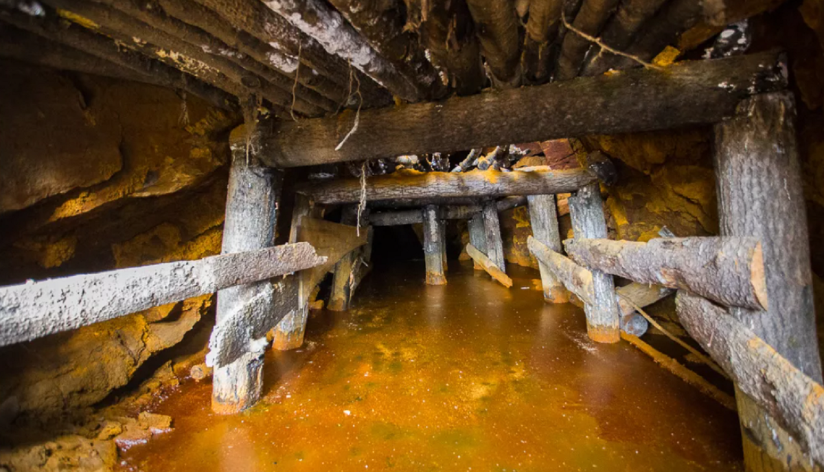 Фото: trusteng.ru
