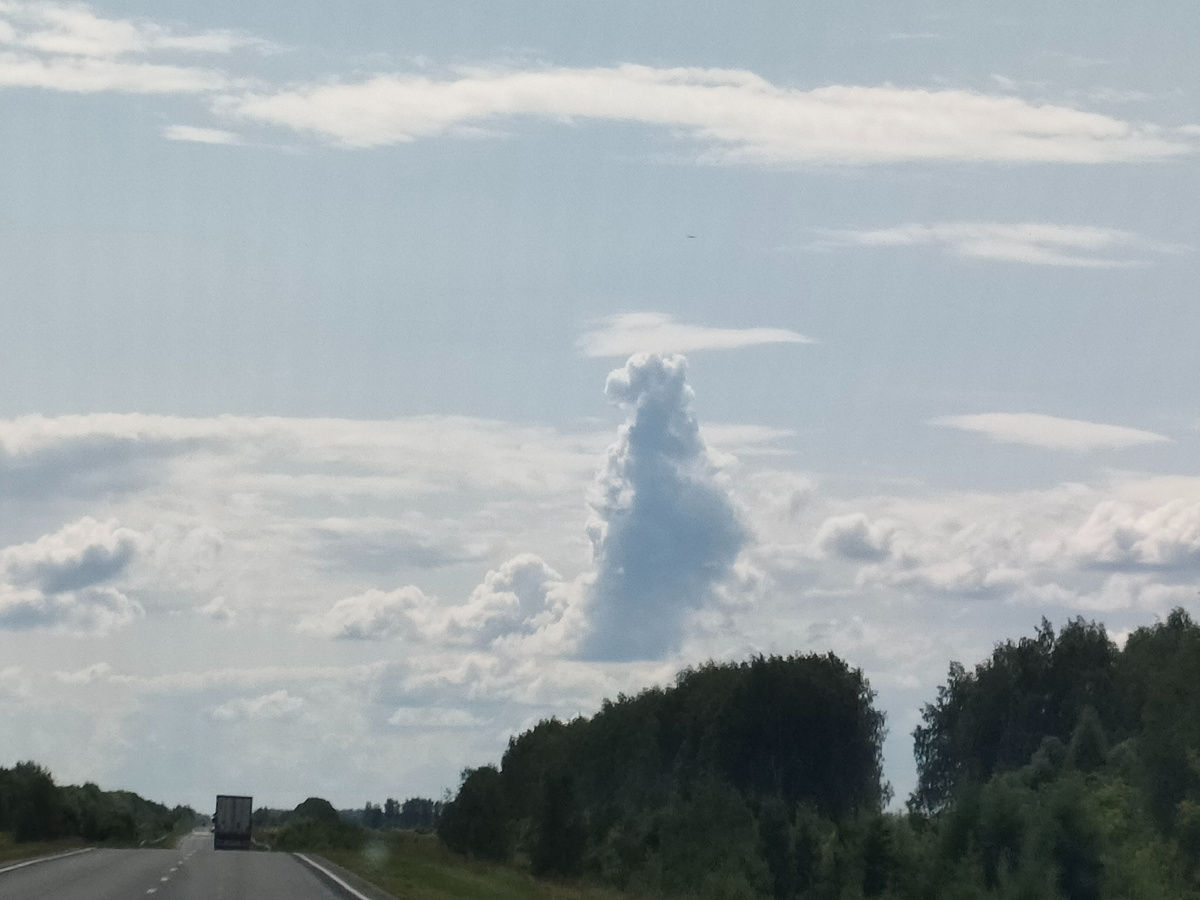 Вид поближе