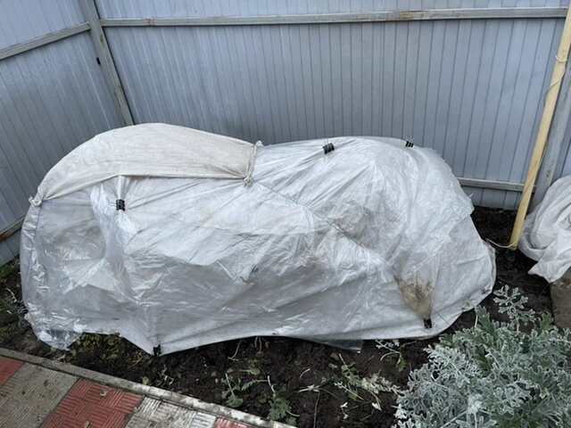 Октябрь 2023 года