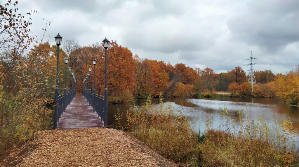    Анастасия Петрова