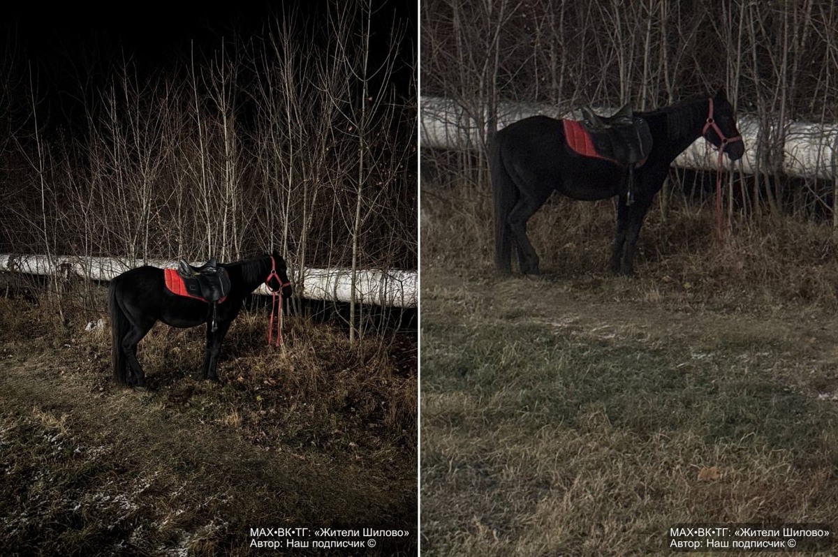     Фото: "Жители Шилово"