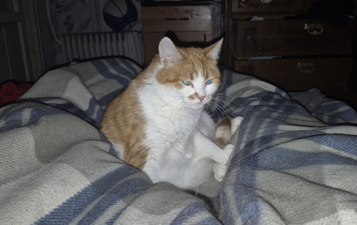 ложимся спать