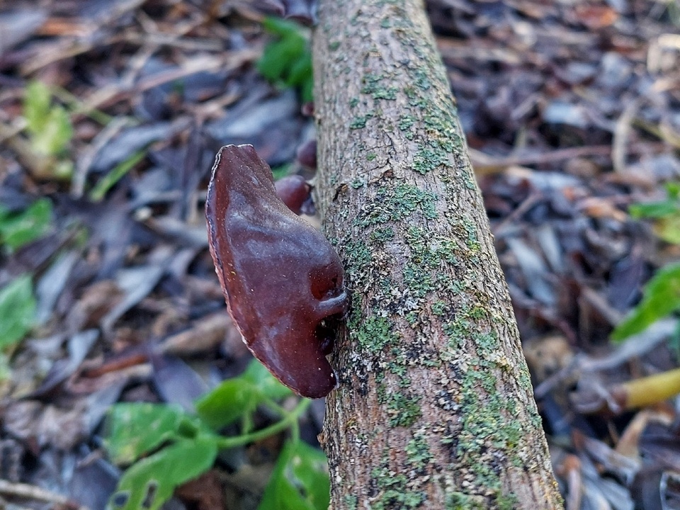    Фото: Василий Потапов