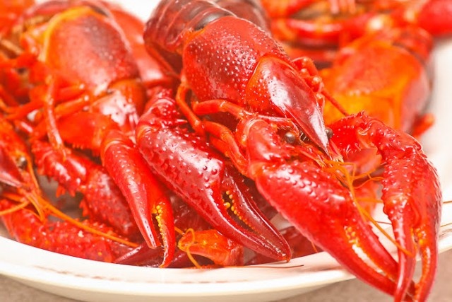   Фото из архива Калининград.Ru