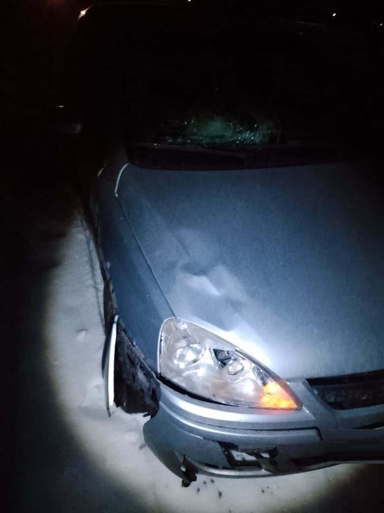    Фото: Telegram-канал «Госавтоинспекция Томской области»