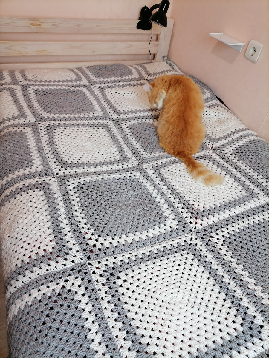 Коту нужно все .Он хозяин в доме.