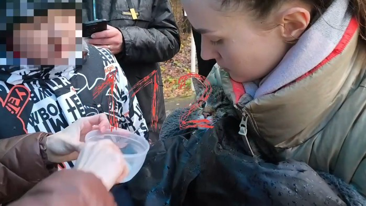    Фото: скриншот / 112 / Telegram