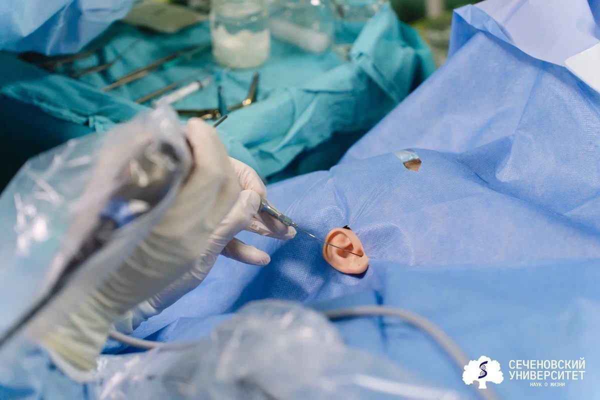    Сеченовский Университет