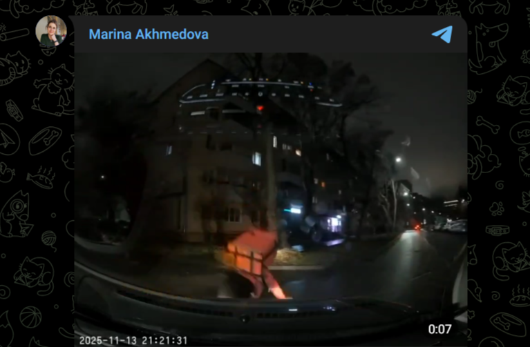 Фото: Telegram-канал "Marina Akhmedova"