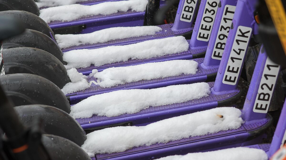    Фото: Shatokhina Natalia/globallookpress.com