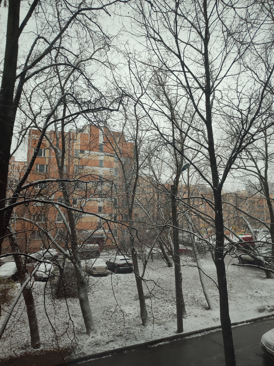 У нас сегодня снежно