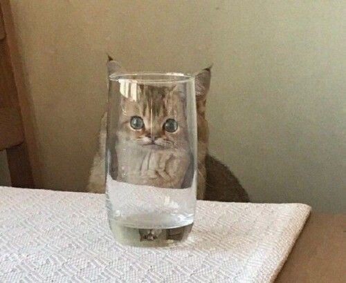 Источник Яндекс-картинки