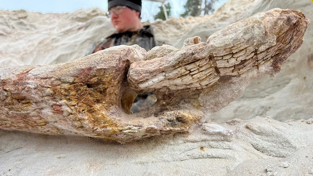     Фото: Дмитрий Григорьев, СПбГУ