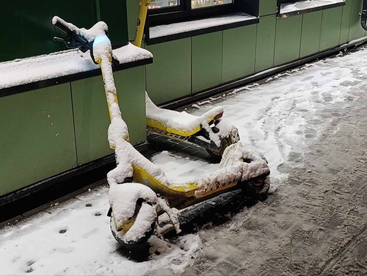 © Форпост Северо-Запад / Алиса Иняхина