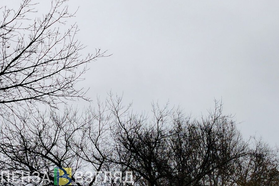    Фото: Архив Пенза-Взгляд, источник: penzavzglyad.ru