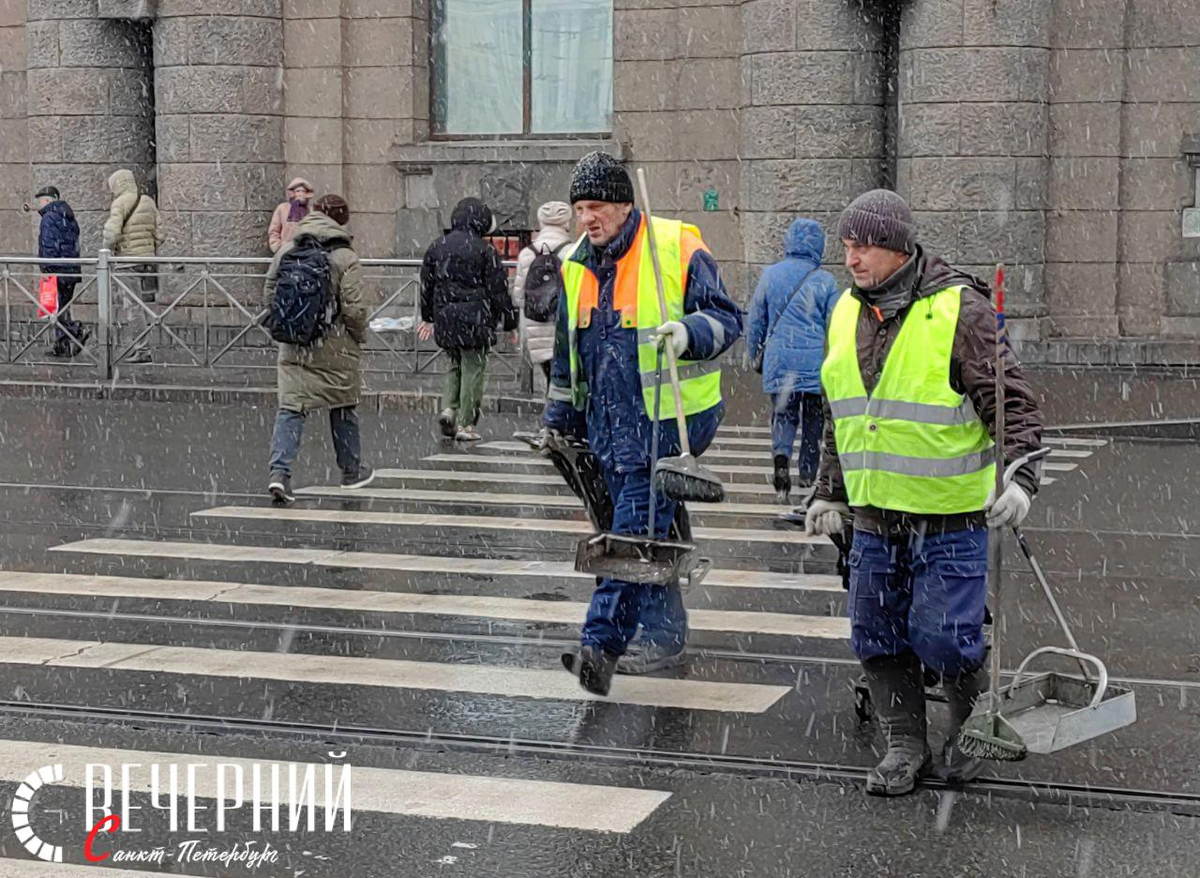 Фото: Александр Гальперин
