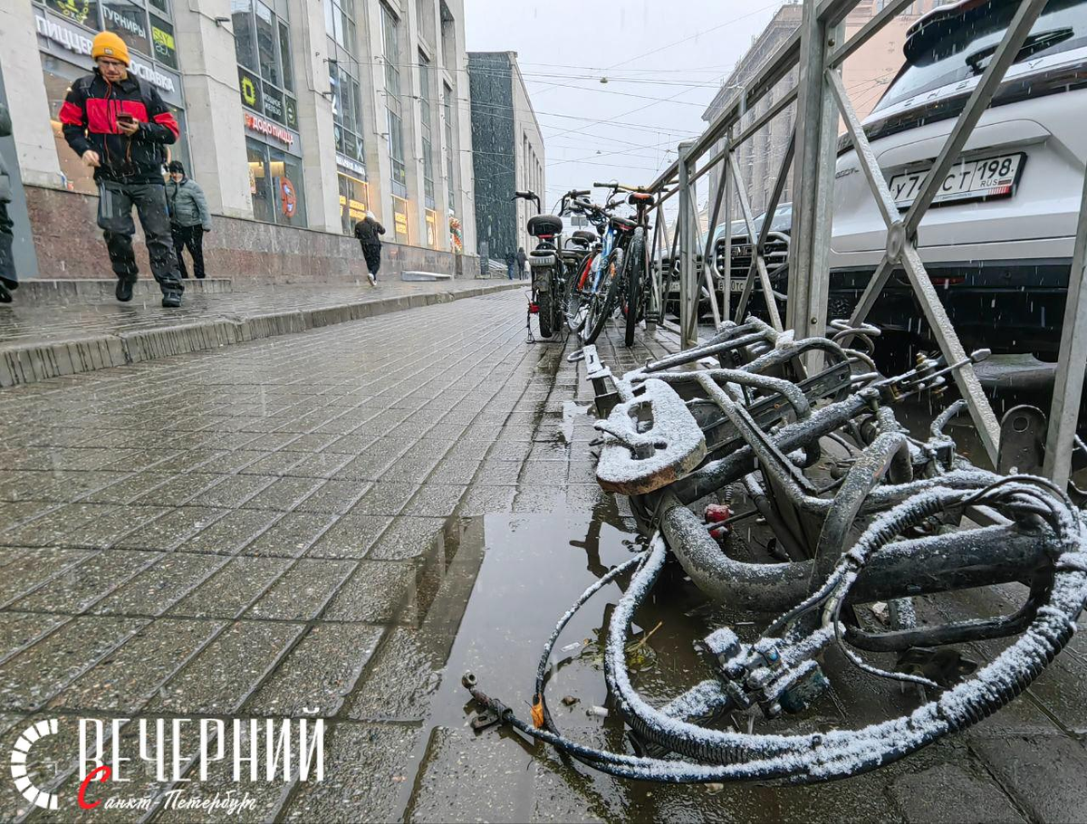 Фото: Александр Гальперин
