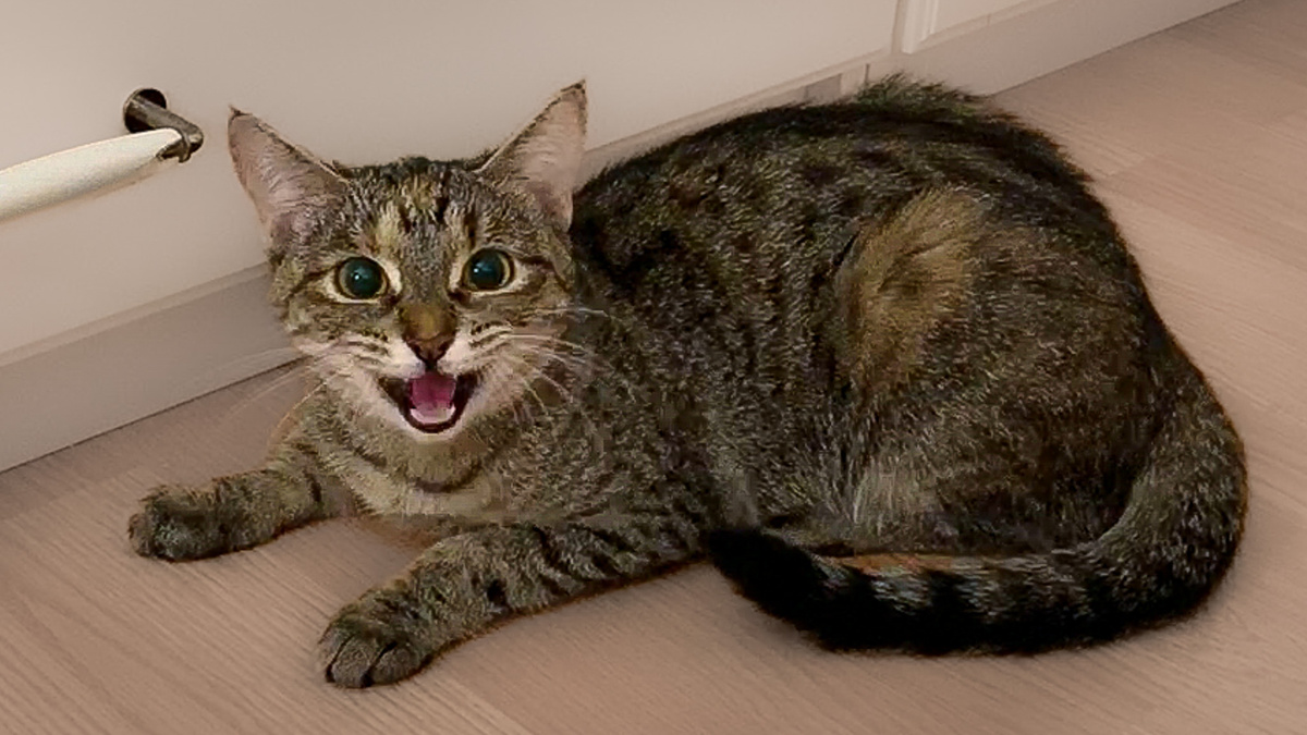 Знакомьтесь, Лана