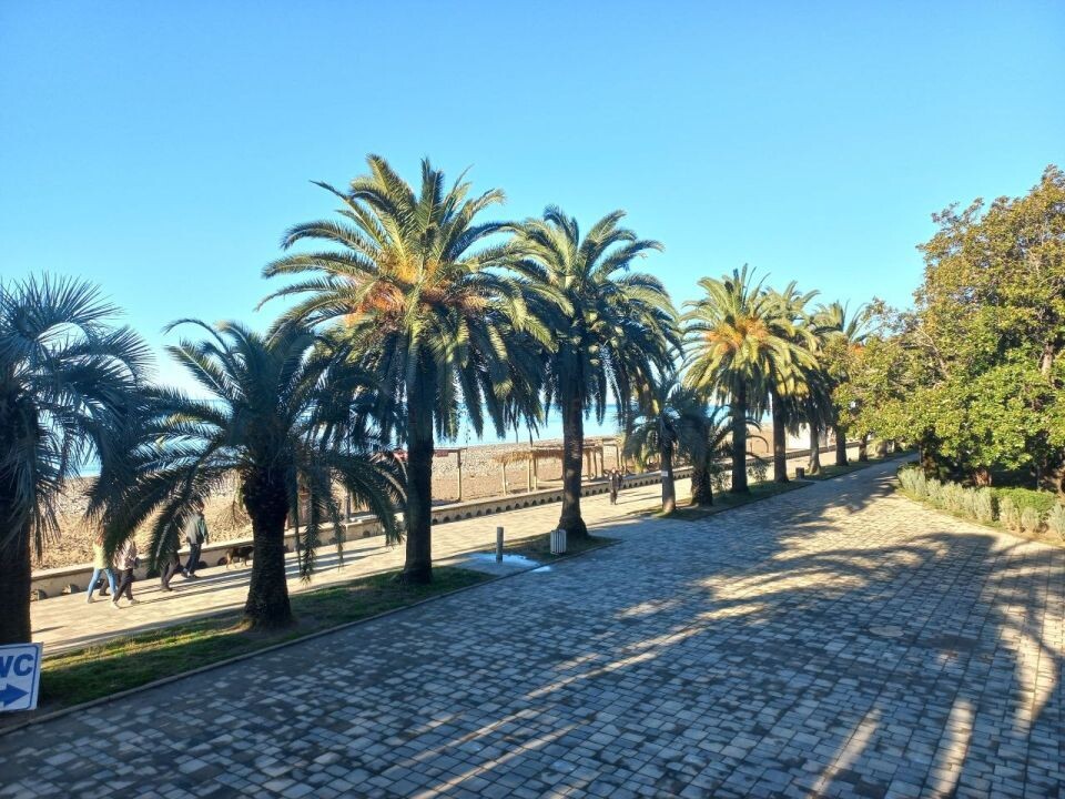    Абхазия. Приморский парк.. Источник: Олеся Веселкова/"Толк"