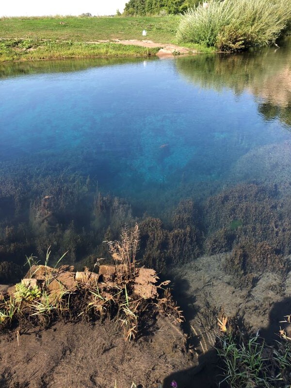 Очень богатое дно! Листайте галерею.