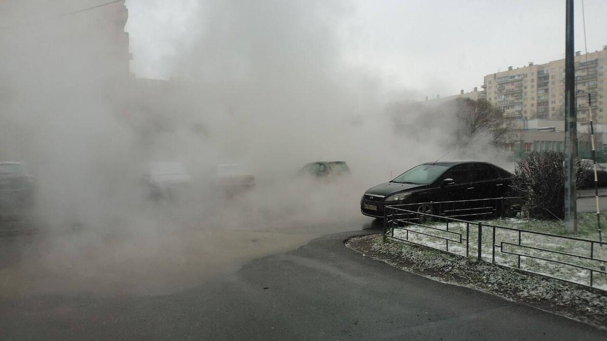    Фото: tg-канал "Красносельский район"