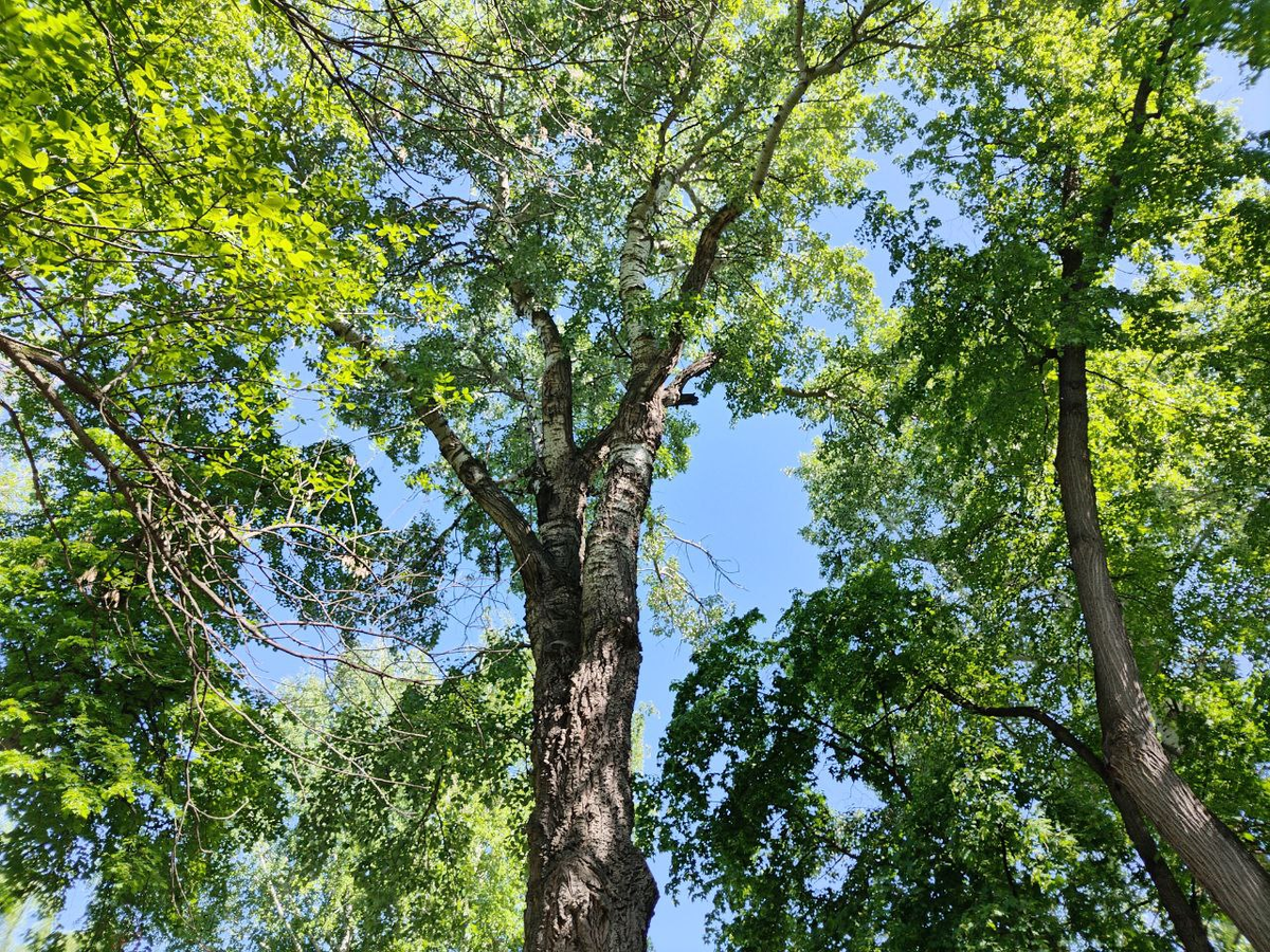 Фото автора.