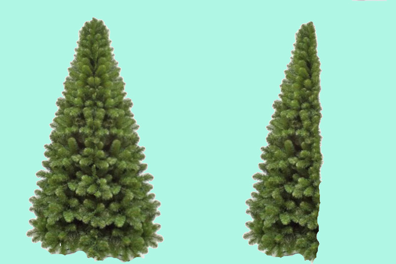    Кому-то целую, кому-то в квартиру-студию - половику