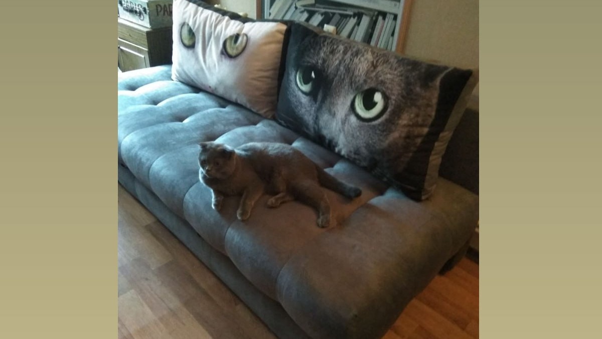 Фото: ИА SM.News📷
