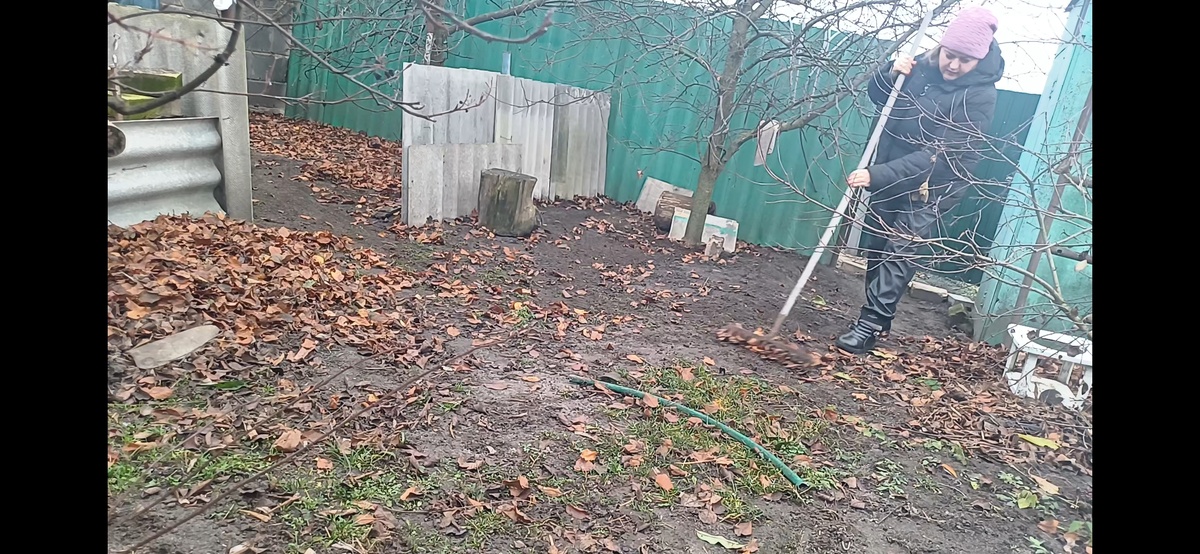 Укрываю чеснок